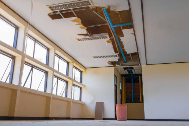 Trusted NV Water damage restoration Experts