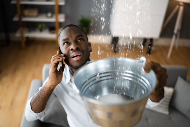 Best Basement water damage restoration  in Silver Springs, NV