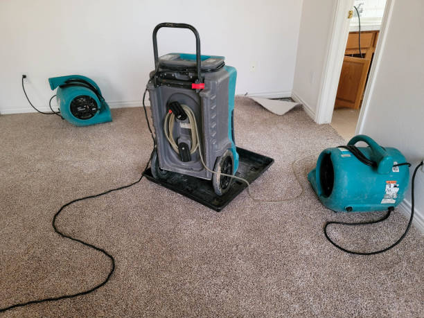 Best 24-hour water damage restoration  in Silver Springs, NV