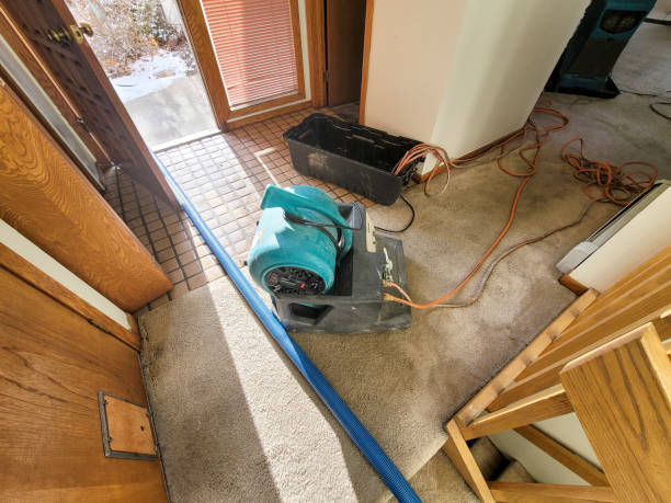 Best Water damage restoration near me  in Silver Springs, NV