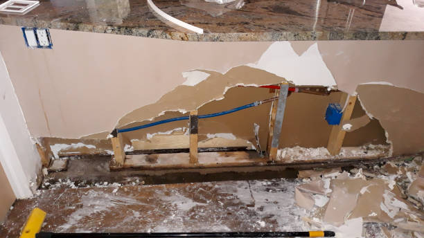 Best Ceiling water damage repair  in Silver Springs, NV