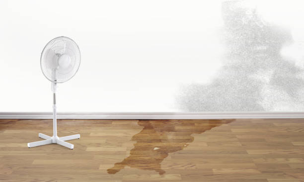 Best Flooded house restoration  in Silver Springs, NV