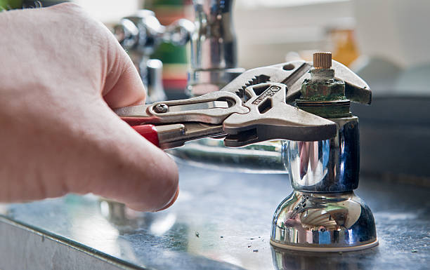 Best Flood damage cleanup  in Silver Springs, NV