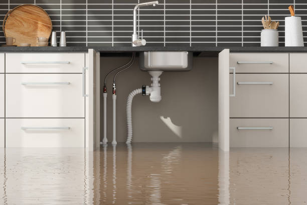 Best 24/7 water damage repair  in Silver Springs, NV