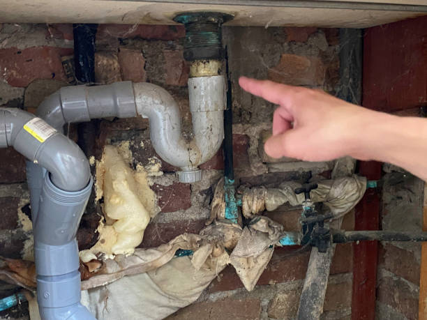 Best Emergency water damage restoration  in Silver Springs, NV